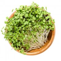 inGreen Pěstební sada bez zalévání - Hořčice